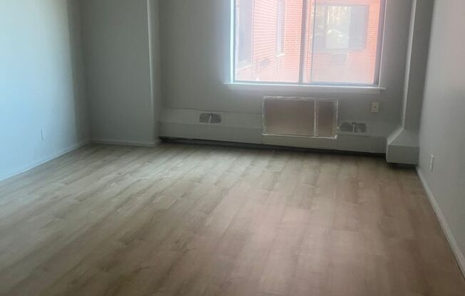 1 bed, 1 bath, 430 sqft, $1,400, Unit 314