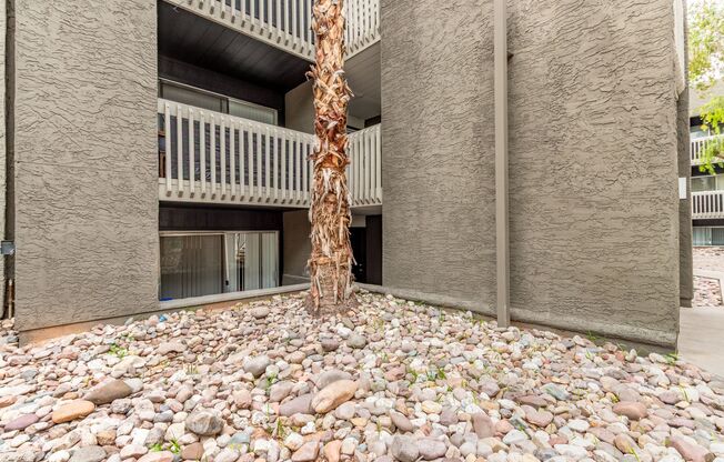 1 bed, 1 bath, 680 sqft, $1,200, Unit 307