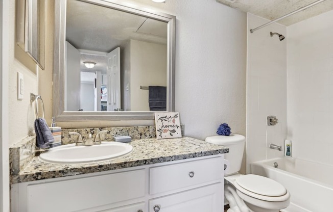 a bathroom with a sink and a mirror and a toilet