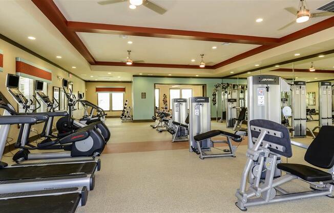 Professional Fitness Center at The Sedona Luxury Apartments in Tampa FL