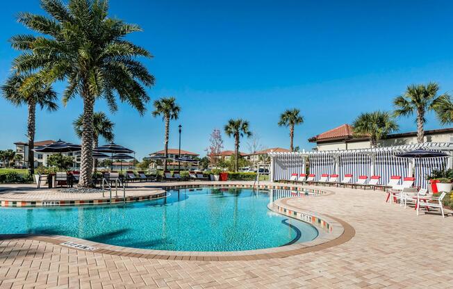 Citra at Windermere Exterior | Outdoor pool | Palm trees | Pool chairs