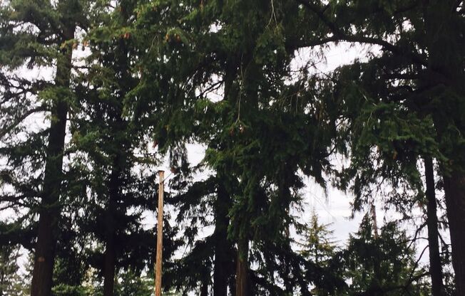 1 bed, 1 bath, 525 sqft, $1,150, Unit 32