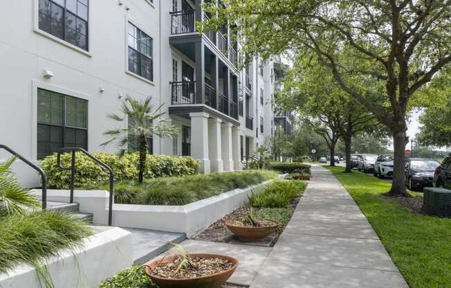 a city sidewalk in front of a building with trees and plants