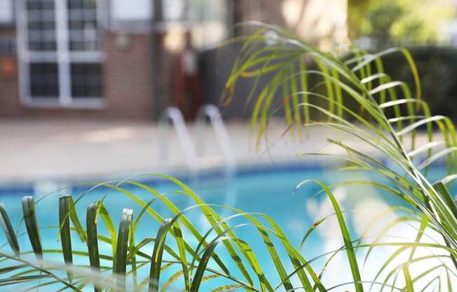 pool at apartment complex