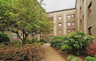 Studio, 1 bath, 510 sqft, $1,300, Unit 411