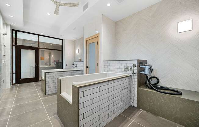Spacious pet spa with multiple wash stations and built-in grooming amenities