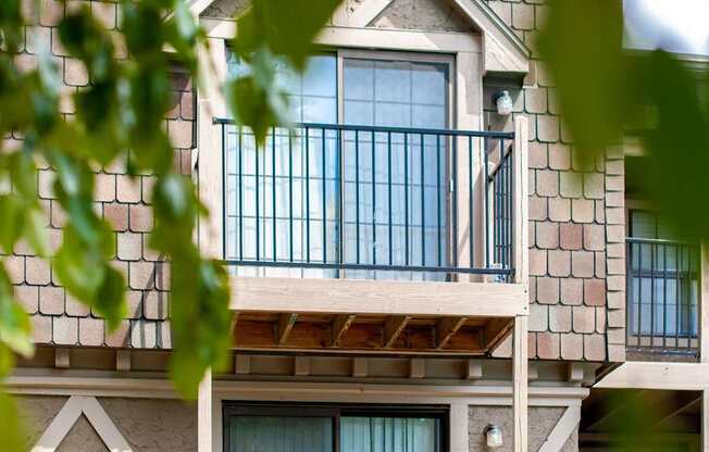 A balcony with a railing and a window is seen through the leaves.