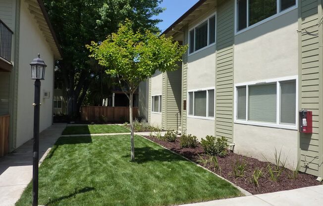 landscaping between buildings