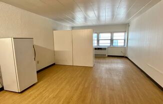 Studio, 1 bath, 450 sqft, $1,165, Unit 204
