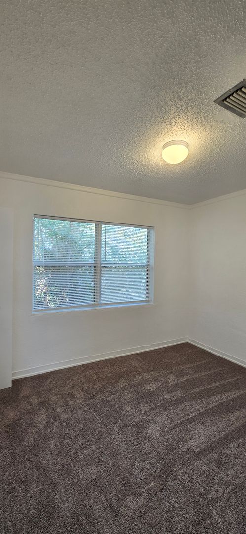 3/1 cottage conveniently located near Downtown Mount Dora