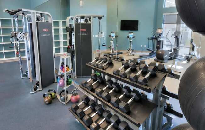 Resident Fitness Center with Free Weights