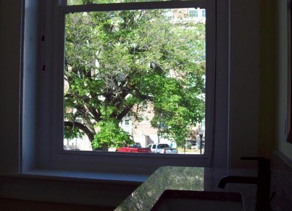 1 bed, 1 bath, 794 sqft, $1,500