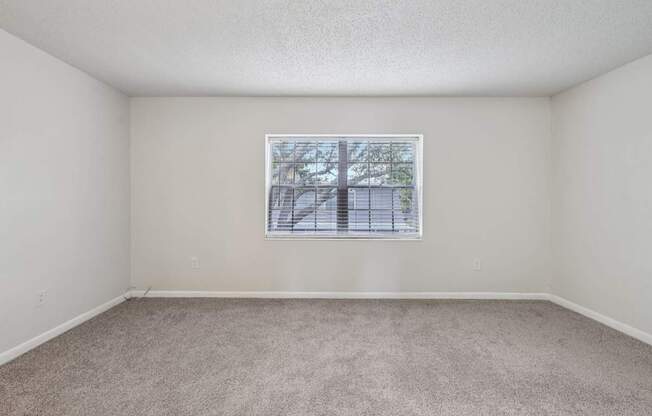 A room with a window and carpeted floor.