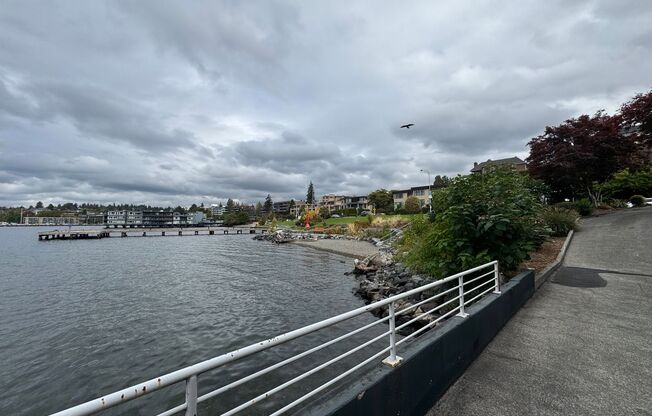 1 bed, 1 bath, $3,000, Unit Unit 101
