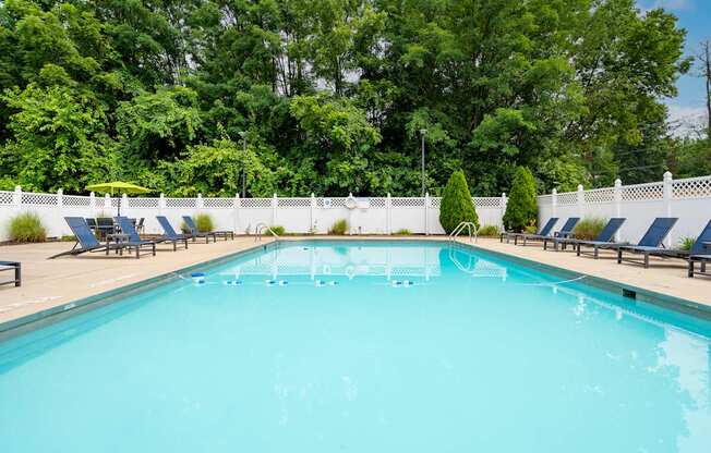 A large swimming pool surrounded by trees and lounge chairs.