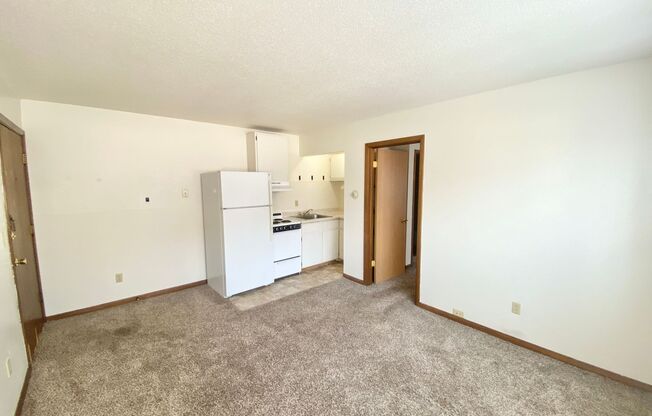 1 bed, 1 bath, 430 sqft, $775, Unit 807-19