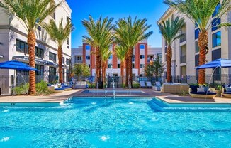 The Grove on Main