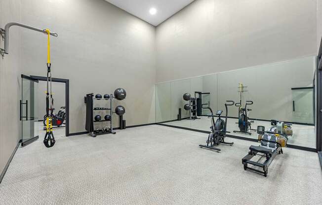 A well-equipped gym with a variety of exercise machines and equipment.