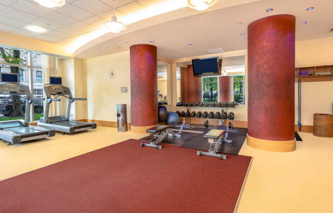 Vesta 24-hour Fitness Center