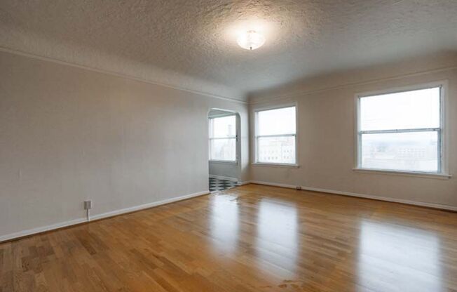 Studio, 1 bath, 545 sqft, $1,350, Unit 307