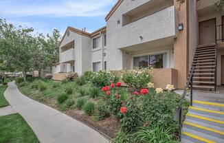 a close up of a flower garden in front of a building