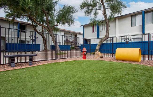 Pet-Friendly Apartments In Tucson, AZ – Midtown on Seneca - Photo of Dogpark