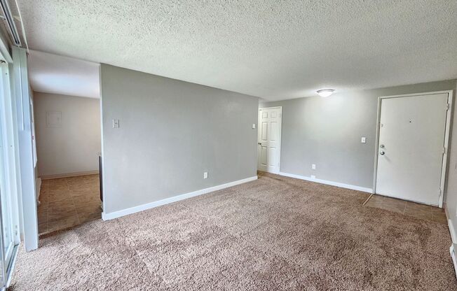 2 beds, 1 bath, 594 sqft, $1,100