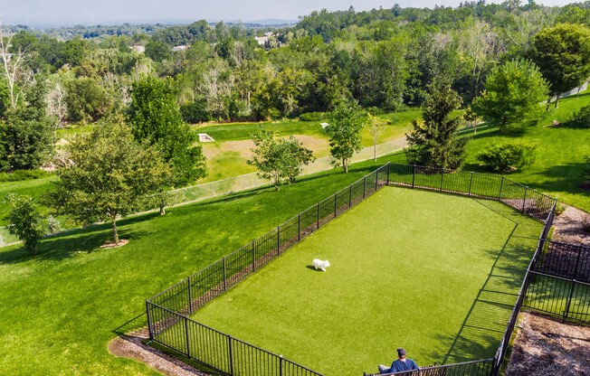 a man sitting on a bench watching a dog in a fenced in dog park