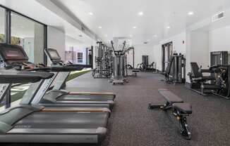 A gym with treadmills, weights, and exercise equipment.