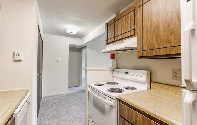 A kitchen with a stove top oven and a refrigerator