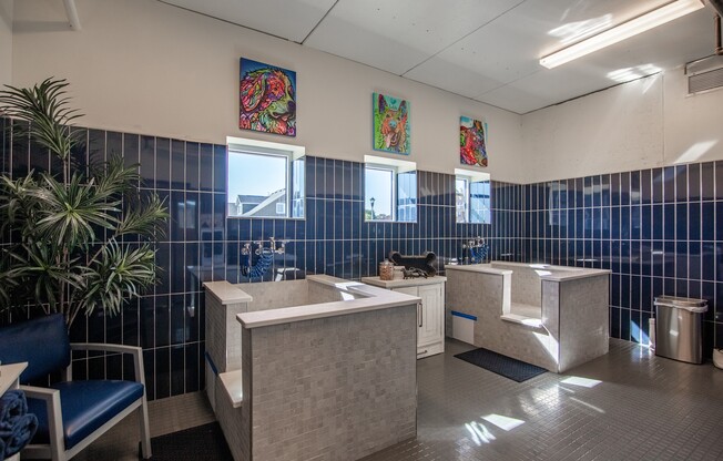 The Earl Apartments Animal Wash