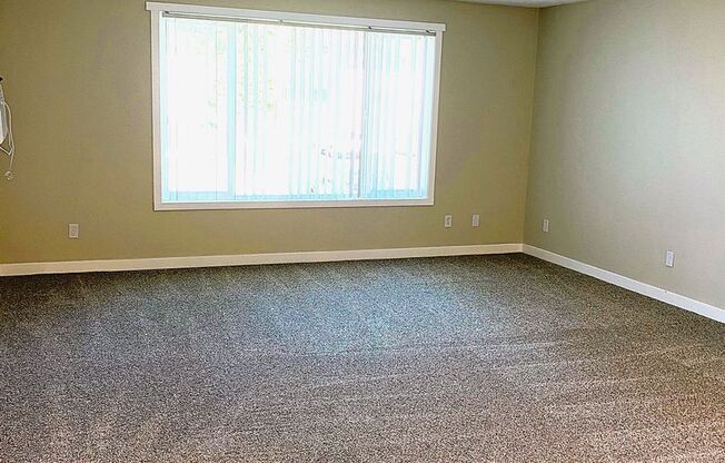 2 beds, 1 bath, 830 sqft, $1,435, Unit P-248