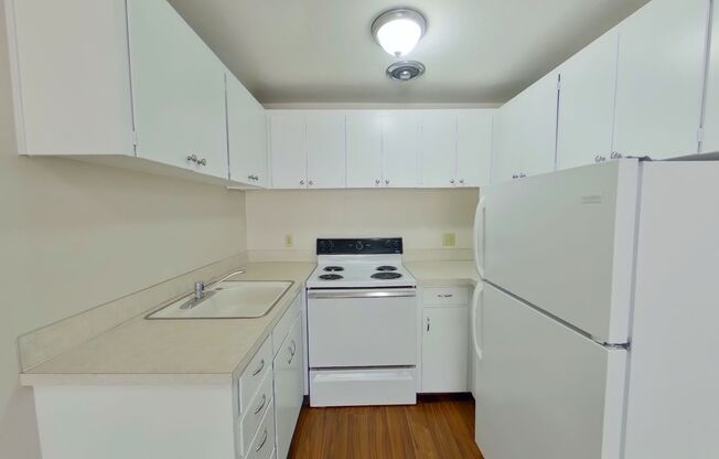 1 bed, 1 bath, $1,200, Unit 7