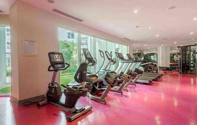 A gym with treadmills and elliptical machines.