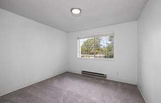 A room with a window and a carpeted floor.