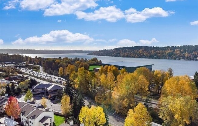 1 Bedroom Near Lake Washington With Pool!