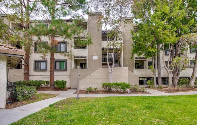 1 Bed 1 Bath With Lots of Amenities!