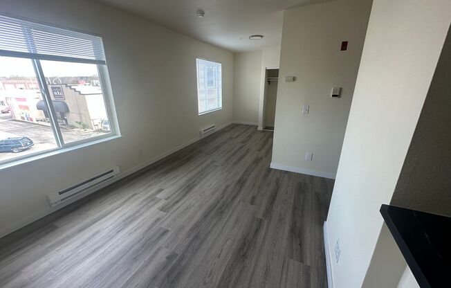 Newly remodeled 4-story Apartment Downtown Renton