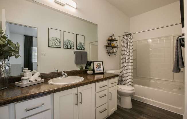 a bathroom with a sink and a toilet and a shower