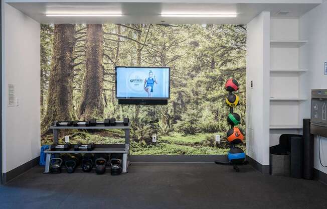 a television and a table with weights in a room with a large mural on the wall