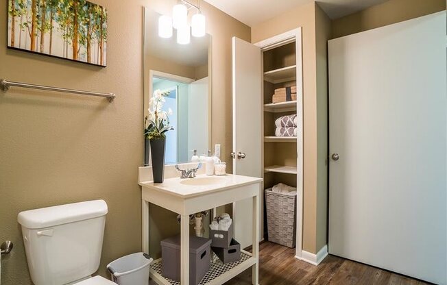 Parkside at Firewheel bathroom