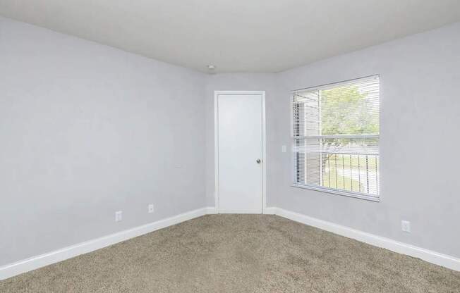 A room with a carpeted floor, a white door, and a window with blinds.
