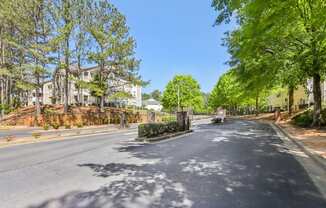 A tree-lined street with a clear blue sky above.