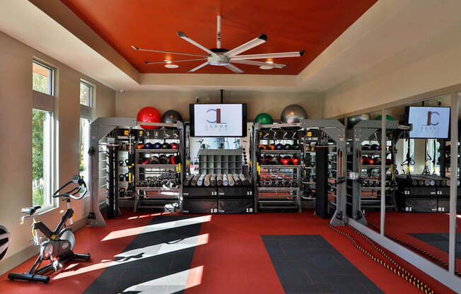 a home gym with a red ceiling and black and white rug at Luxor Club, Florida