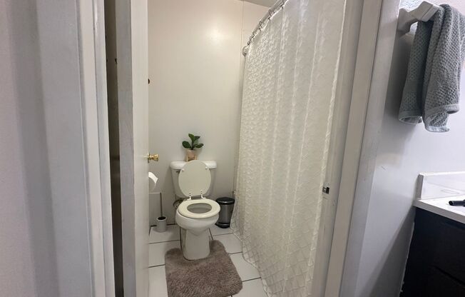 1 bed, 1 bath, $1,195, Unit 309