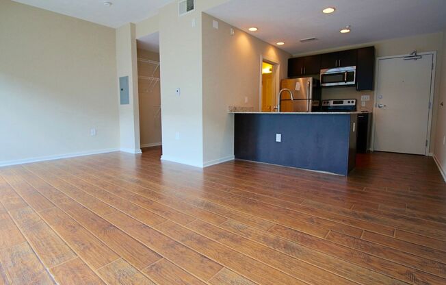 Studio, 1 bath, 412 sqft, $1,195, Unit APT 215