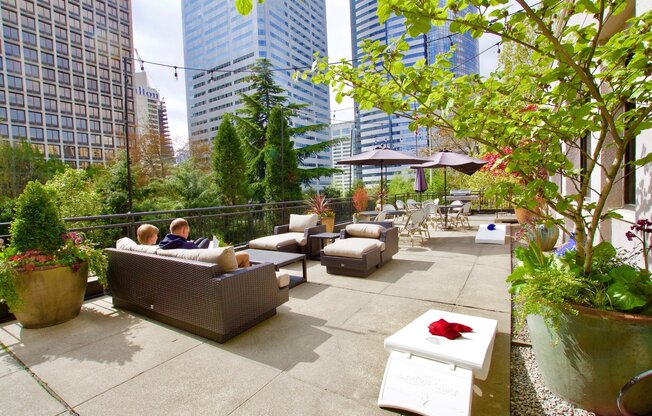 Studio, 1 bath, 527 sqft, $1,495, Unit 0204