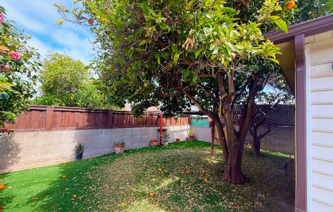 Beautiful 3/2 on a Great Block in Ocean Beach