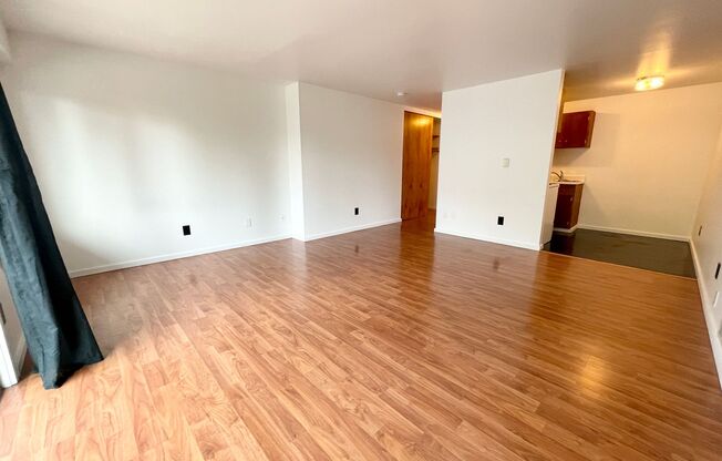 Studio, 1 bath, 464 sqft, $1,475, Unit 209