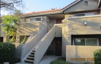 Mission Grove Beauty
